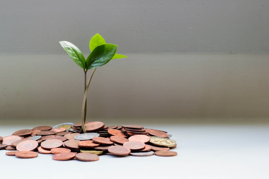 Relatórios financeiros para revendas: o que analisar todo mês